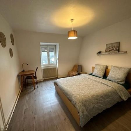 Beau F3 - Proche Gare Lejlighed Mulhouse Eksteriør billede